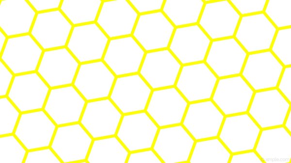 Соты прозрачные