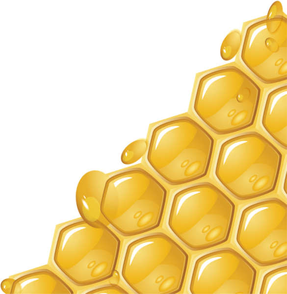 Соты на белом фоне