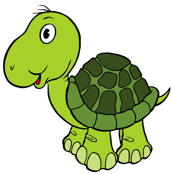 Черепаха рисунок
