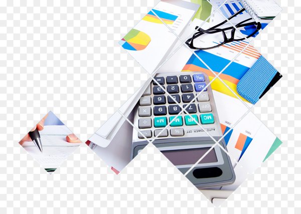 Бухгалтерский учет вектор