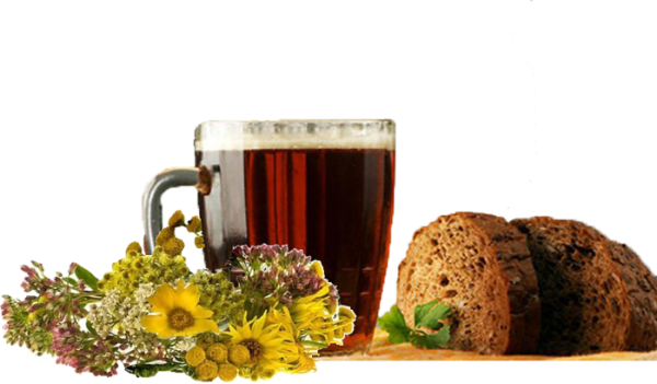 Кружка кваса на белом фоне