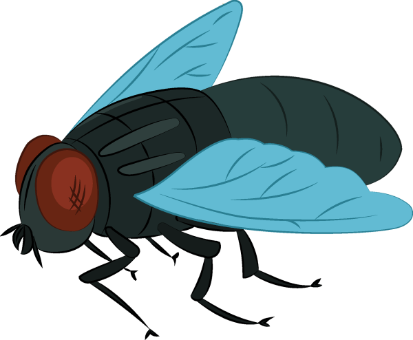 Муха для детей