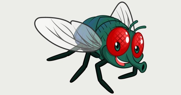 Сказочная Муха