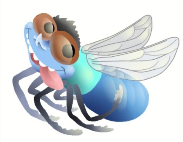 Муха иллюстрация