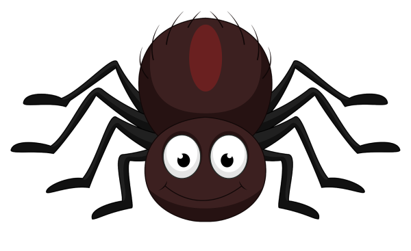 Паучок на прозрачном фоне