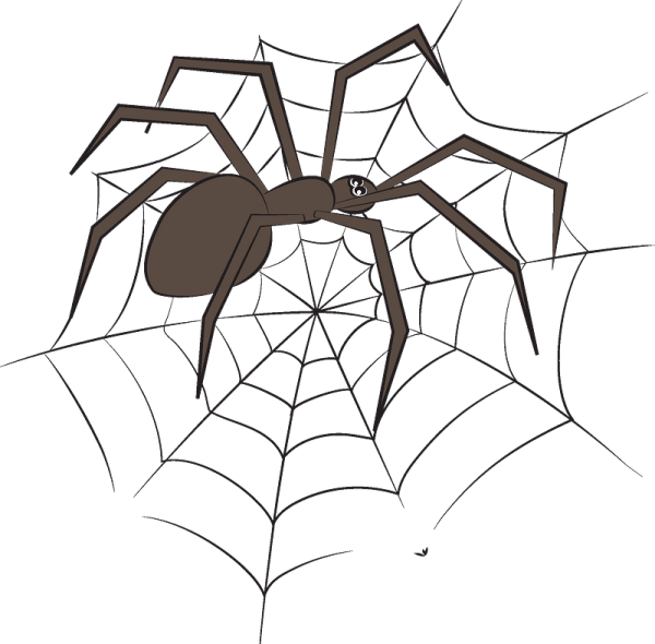 Паук на паутине клипарт