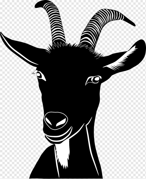 Коза черно белая