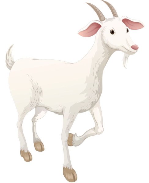 Козел на белом фоне