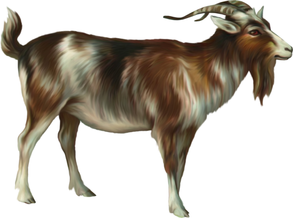 Козел для детей