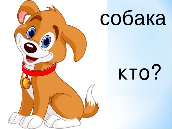 Мультяшные зверюшки