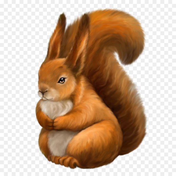 Белка на прозрачном фоне