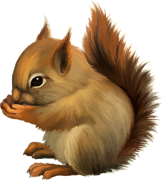 Мультяшные белки