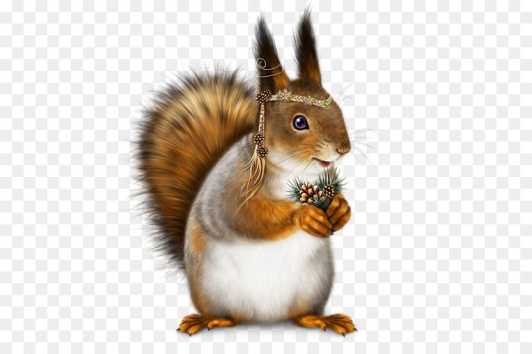 Белка на белом фоне