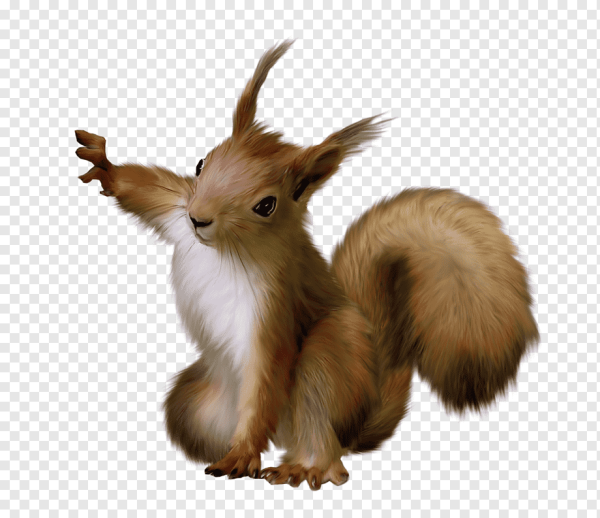 Животные на прозрачном фоне