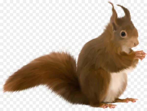 Лесные животные без фона