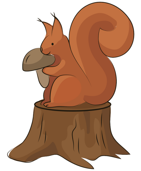 Белка Картун