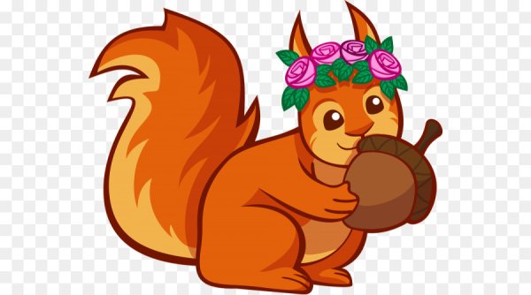 Белка для детей