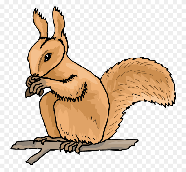 Рисунки белки и зайца