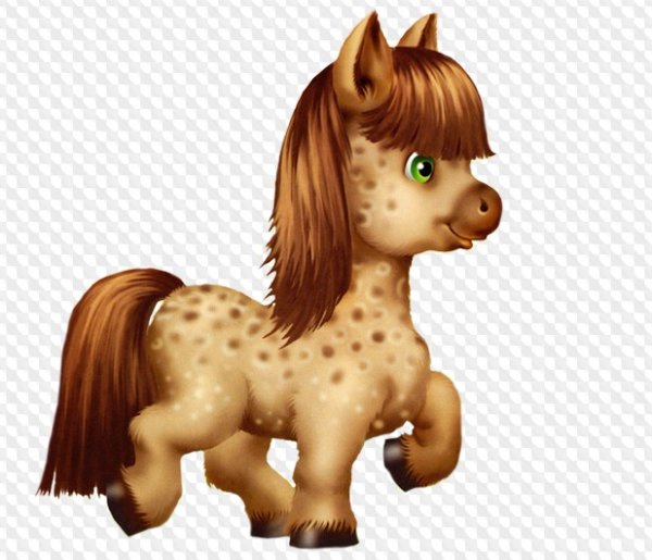 Лошадка на прозрачном фоне