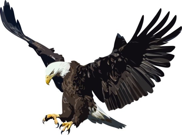 Орел клипарт