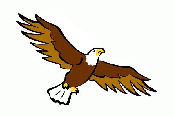 Нарисовать орла