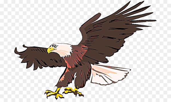 Орел мультяшный