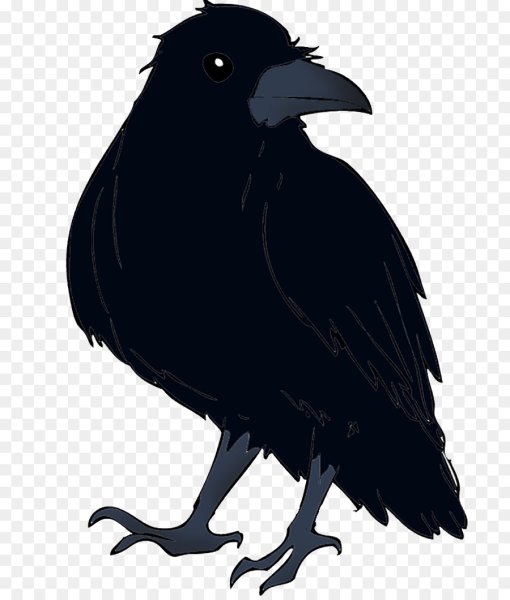 Ворона рисунок