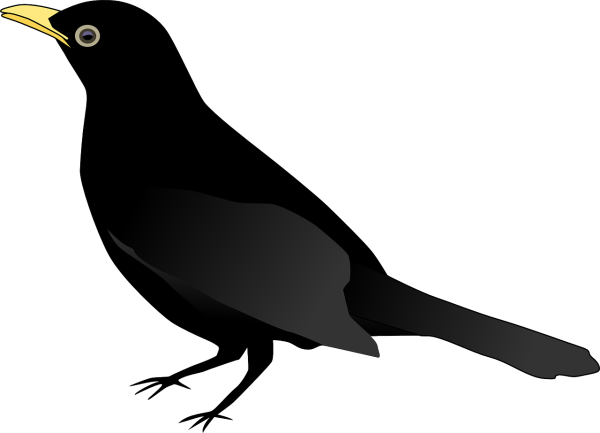 Ворона мультяшная