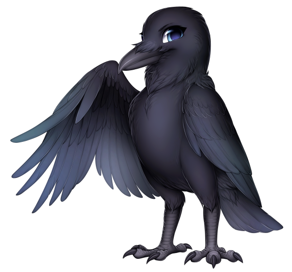 Ворона на белом фоне