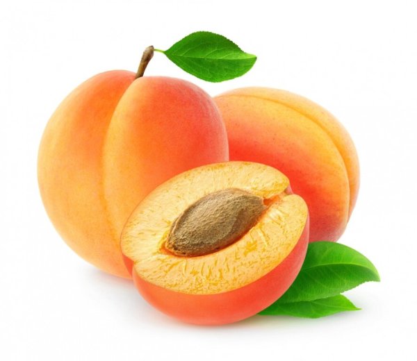 Apricots – абрикосы