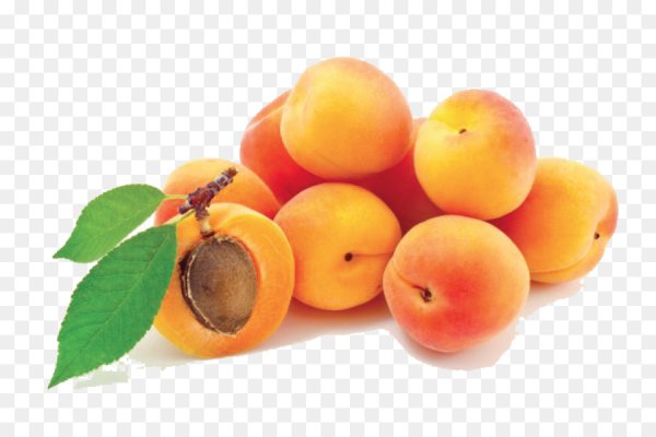 Apricots – абрикосы