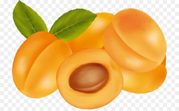 Абрикос для детей