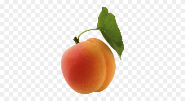 Абрикос без фона