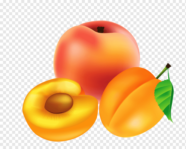 Абрикос мультяшный