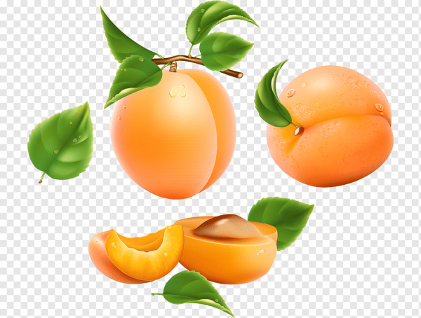 Абрикосы мультяшные