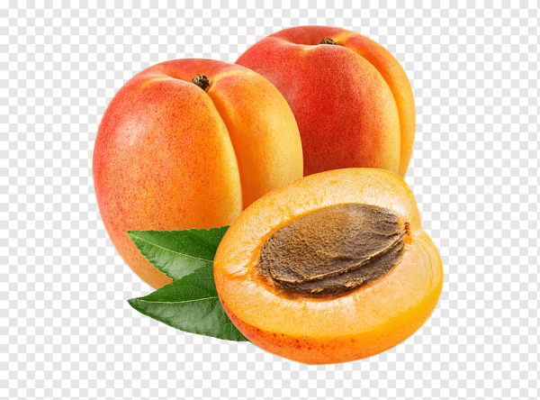 Абрикос без фона