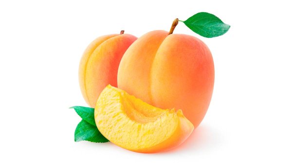 Картина абрикос для детей