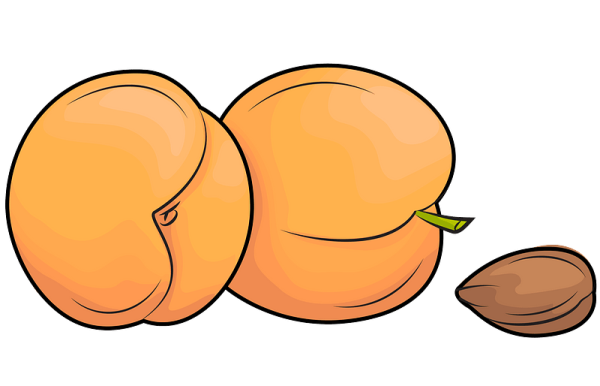 Абрикос стилизованный