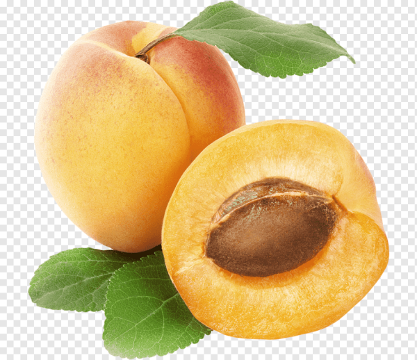 Яблока Семеренко абрикос