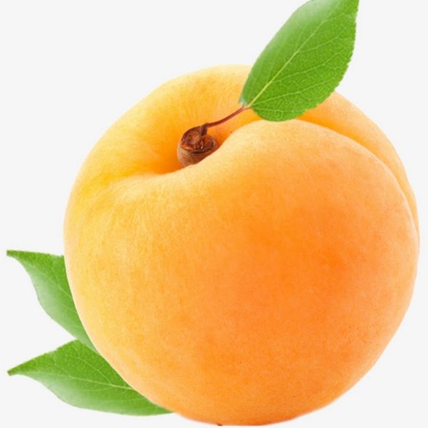 Абрикос на белом фоне