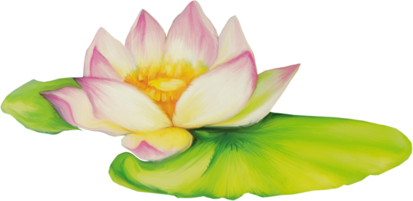 Кувшинка для детей