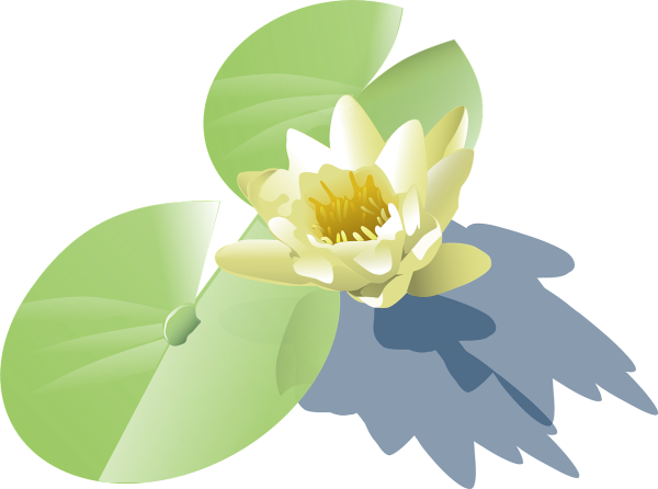 Кьютимарка кувшинка