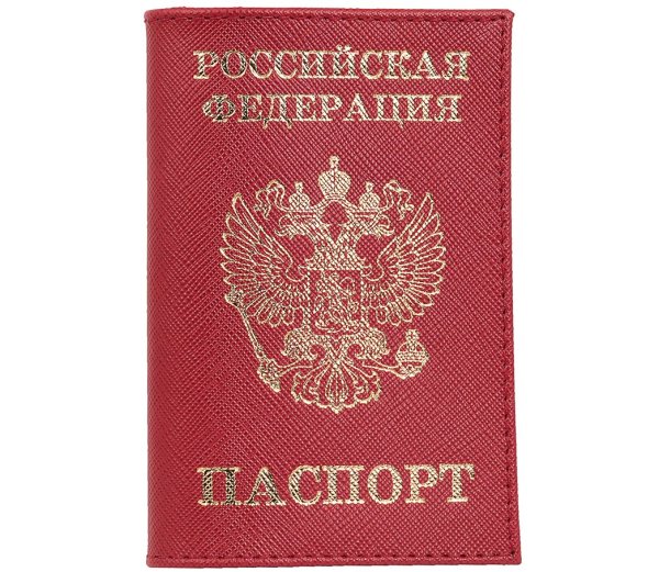 Паспорт РФ иконка