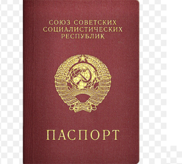 Нарисованный паспорт