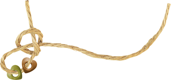 Веревка на прозрачном фоне