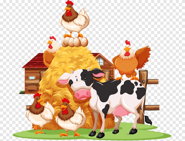 Сельскохозяйственные животные на белом фоне