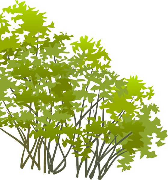 Векторный куст