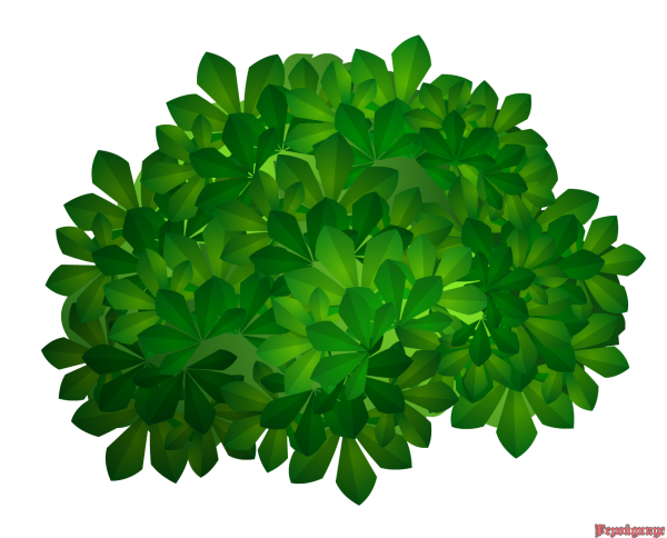 Куст для детей