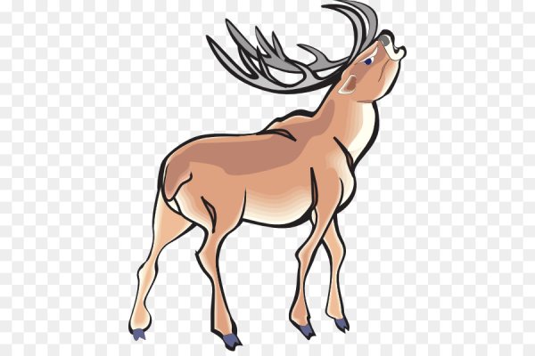 Северный олень cartoon