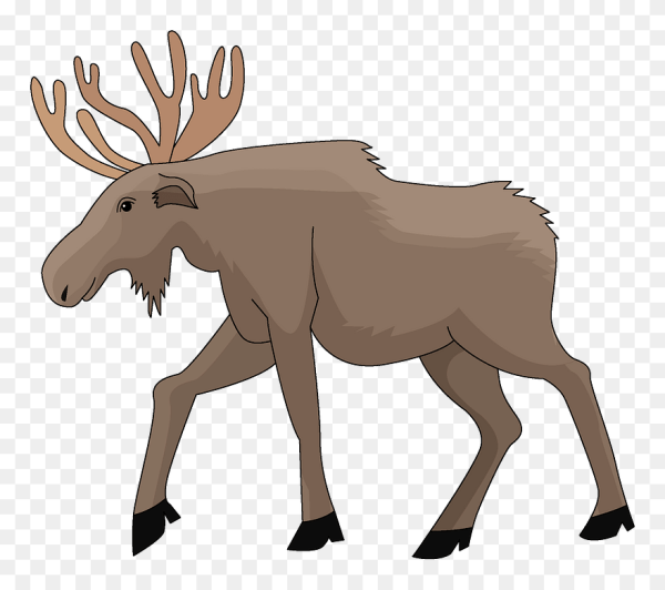 Лось, кот клипарт